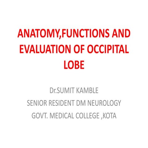 Occipital lobe ppt