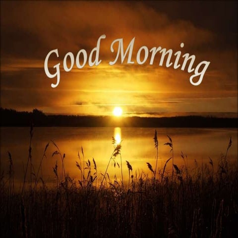 Occlusal radiography