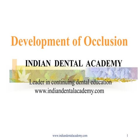 Occlusion