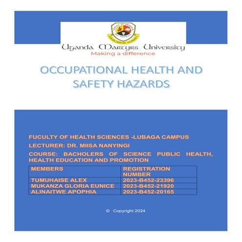 Comprehensive Field Study on Occupational Health Hazards Among Nurses ...