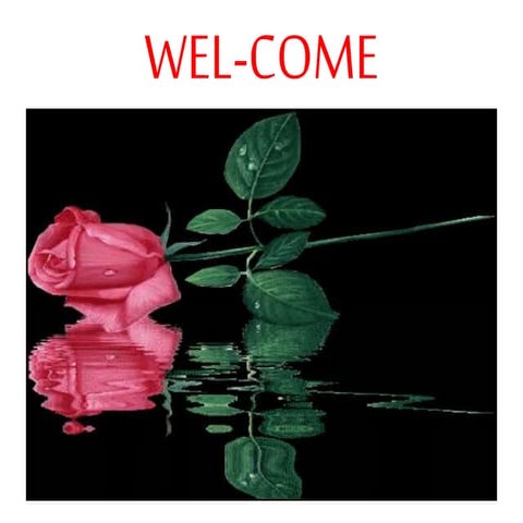 Occupational health &amp; safety