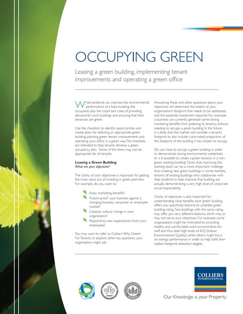 Occupying Green