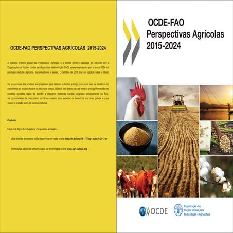 Perspectivas Agrícolas no Brasil:desafios da agricultura brasileira 2015-2024