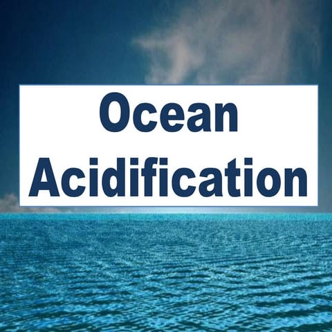 Ocean Acidification | PPTX