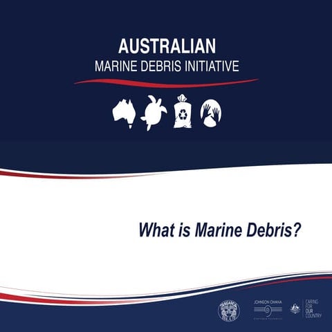 Ocean Debris - Plastic Pollution and Marine Environments.