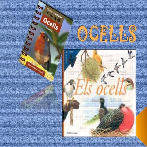 Ocells