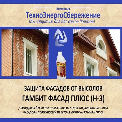 ЗАЩИТА ФАСАДОВ ОТ ВЫСОЛОВ | PPT