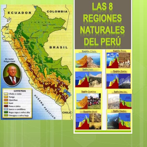 Ocho regiones del PERU - LAS CUALES FUERON CREADAS POR UN GEOLOGO