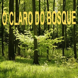 O claro do bosque