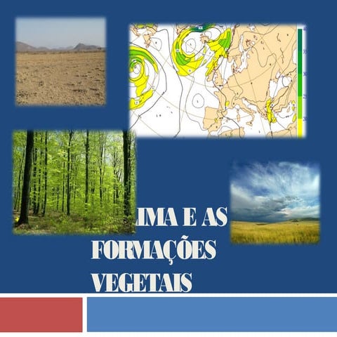 Biomas Do Brasil E Cerrado | PPT