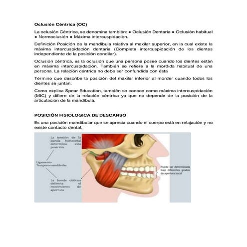 Resumen Final Oclusión Dental, RELACION CENTRICA, MAXIMA ...