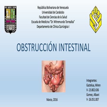 Obstrucción intestinal | PDF | Digestive Disorders | Diseases and ...
