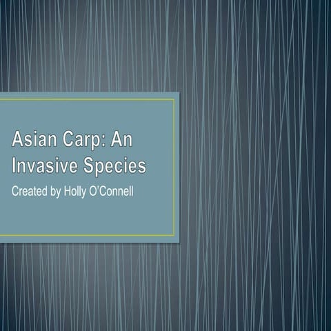 Asian Carp: An Invasive Species