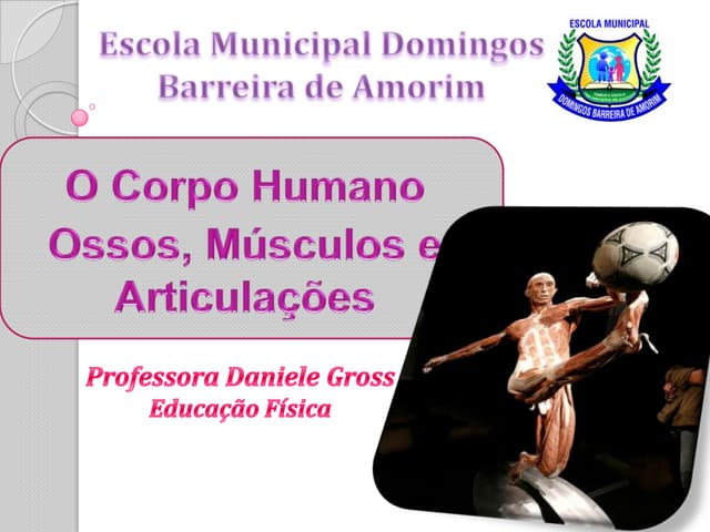 O corpo humano