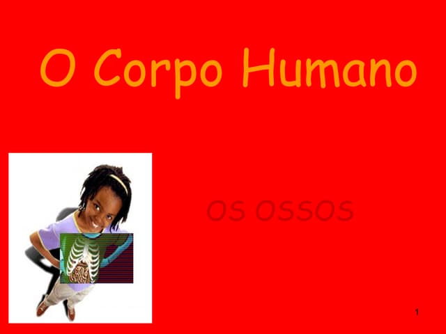 O corpo humano : Ossos...