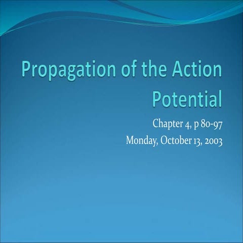 The Neuron and Action Potential PPT. ppt | PPT