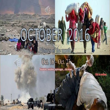 Nov.2016 - Nov.16 - Nov.23
