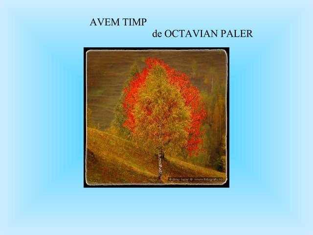 Octavian Paler Am Invatat