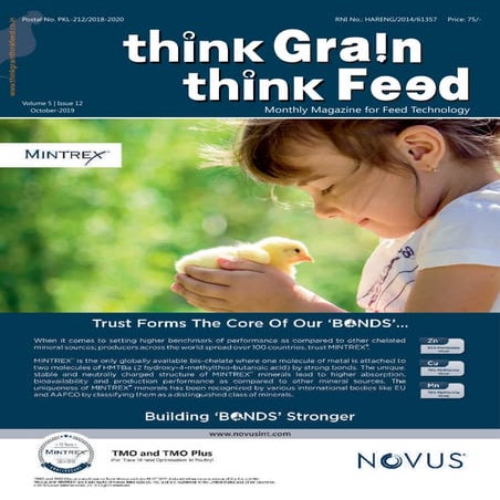 Think Grain Think Feed October issue 19