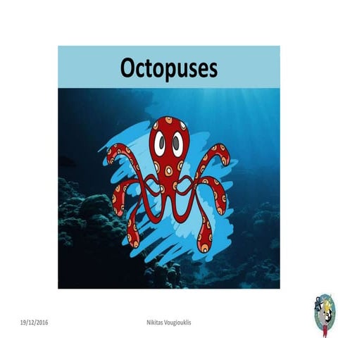 Octopus.pdf