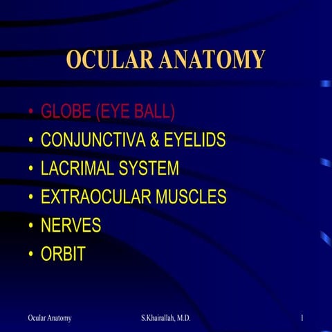 understand basic eye anatomy for undergraduates.ppt