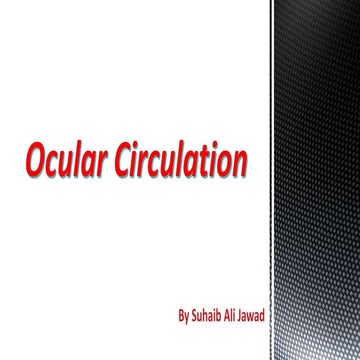 Ocular circulattion