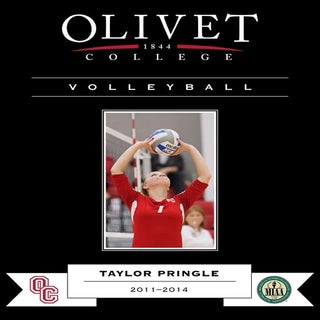 Ocvb posters 3