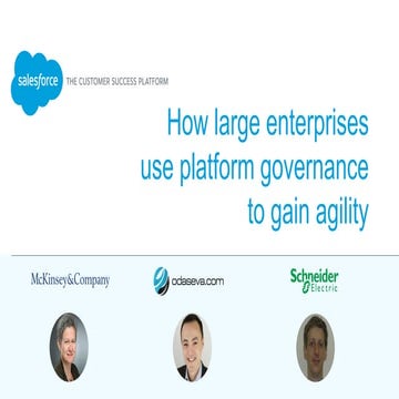 How Large Enterprises Use Platform Governance to Gain Agility