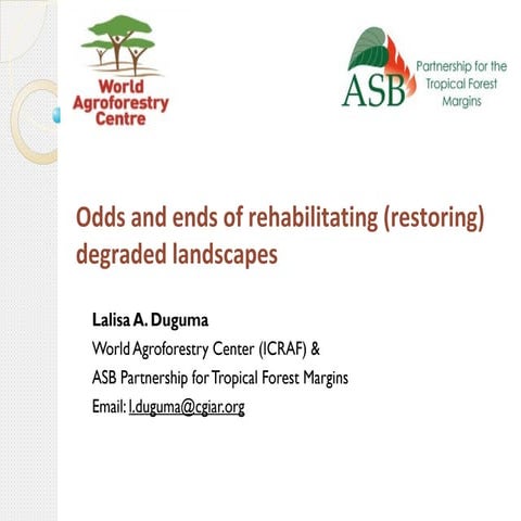 Odds and ends of rehabilitating (restoring) degraded landscapes