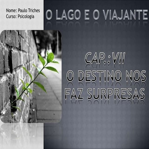 O destino nos faz surpresa.docx