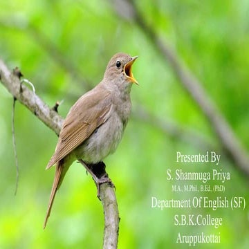 Ode to the nightingale