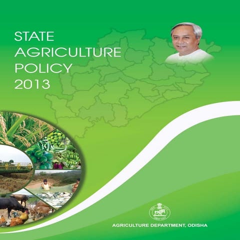 Odisha agriculture policy  2013   for finance, subsidy & project related supp...