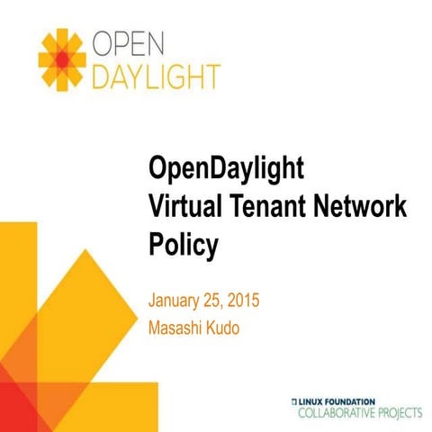 OpenDaylight VTN Policy