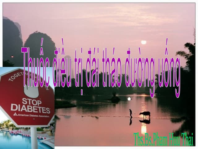 TIỂU ĐƯỜNG 2012