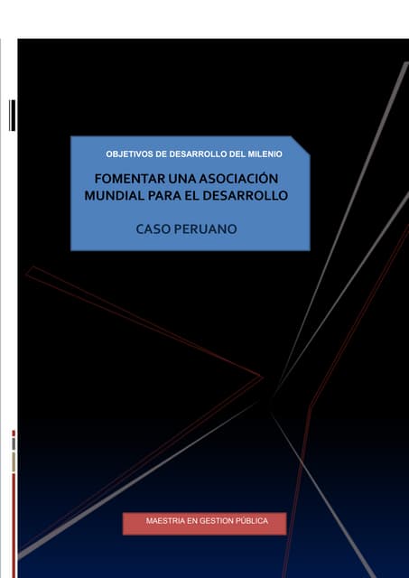 Objetivo 8 ODM UNCP Peru