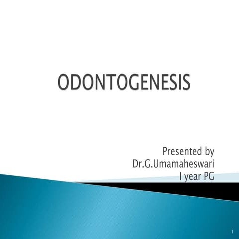 Odontogenesis  