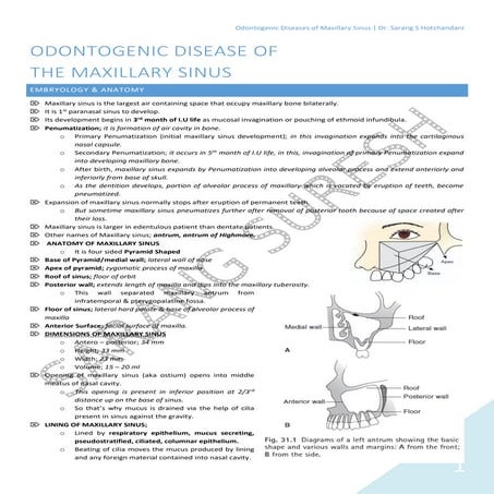 Odontogenic Disease of Maxillary Sinus (Study Notes: Oral & Maxillofacial Sur...