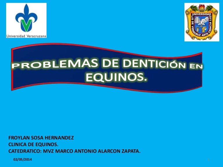 incomodidad de la clínica dental del caballo