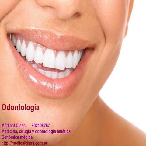 Odontologia 2