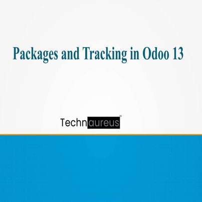 Odoo 13 Packages and Tracking