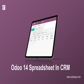 Odoo 14 Spreadsheet in CRM