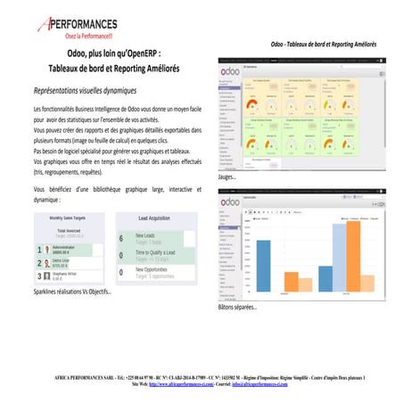 Odoo: Tableaux de bord et Reporting