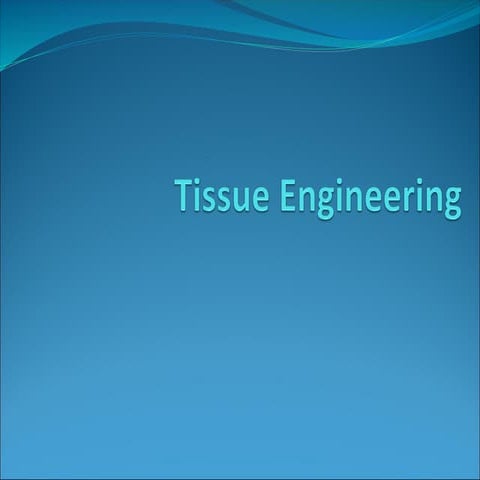 Fundamental of Tissue engineering