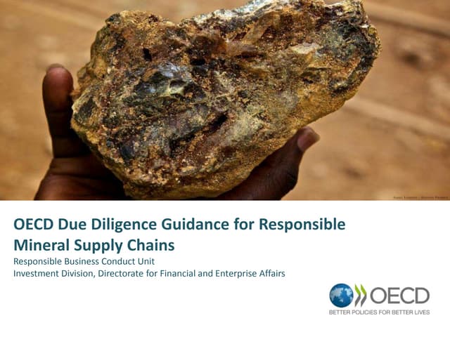 OECD Due Diligence Guidance for Res...