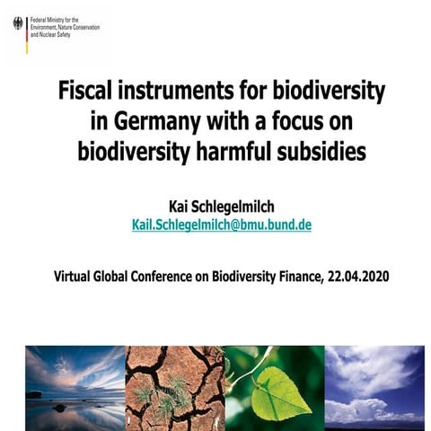 OECD-UNDP Conference on Biodiversity Finance - Session 3 Kai Schlegelmich, Fe...