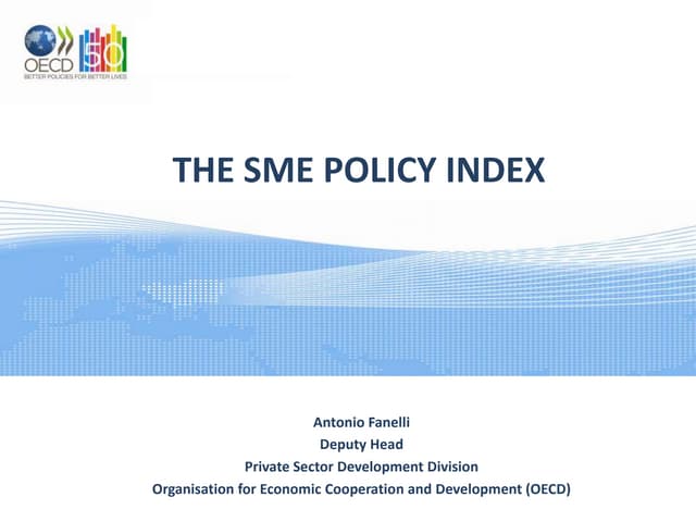 The SME Policy Index