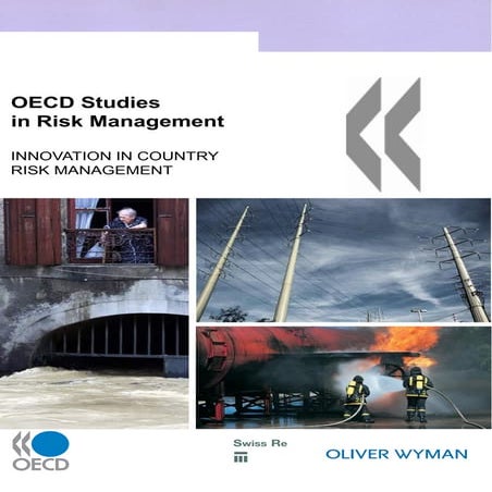Oecd studies in risk management | PDF