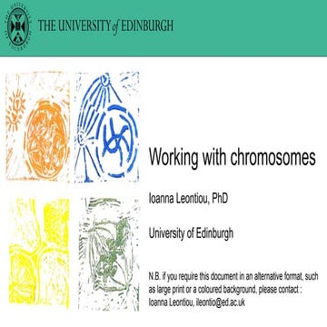 Working with Chromosomes