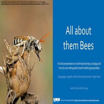 OER_wildbees_nestingaid_presentation.pdf