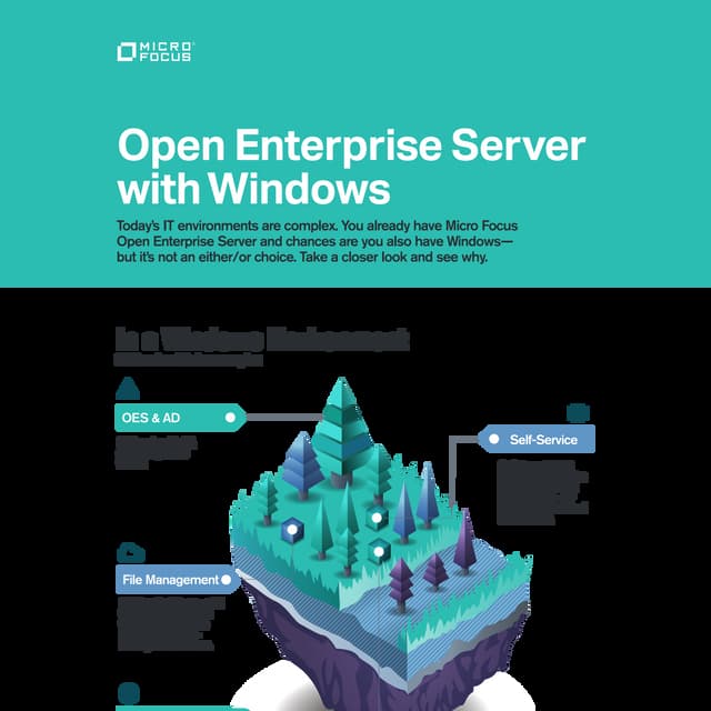 Open Enterprise Server With Windows | PDF